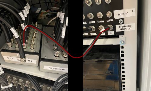 BNC connection VideoMEG
